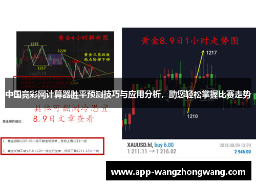 中国竞彩网计算器胜平预测技巧与应用分析，助您轻松掌握比赛走势